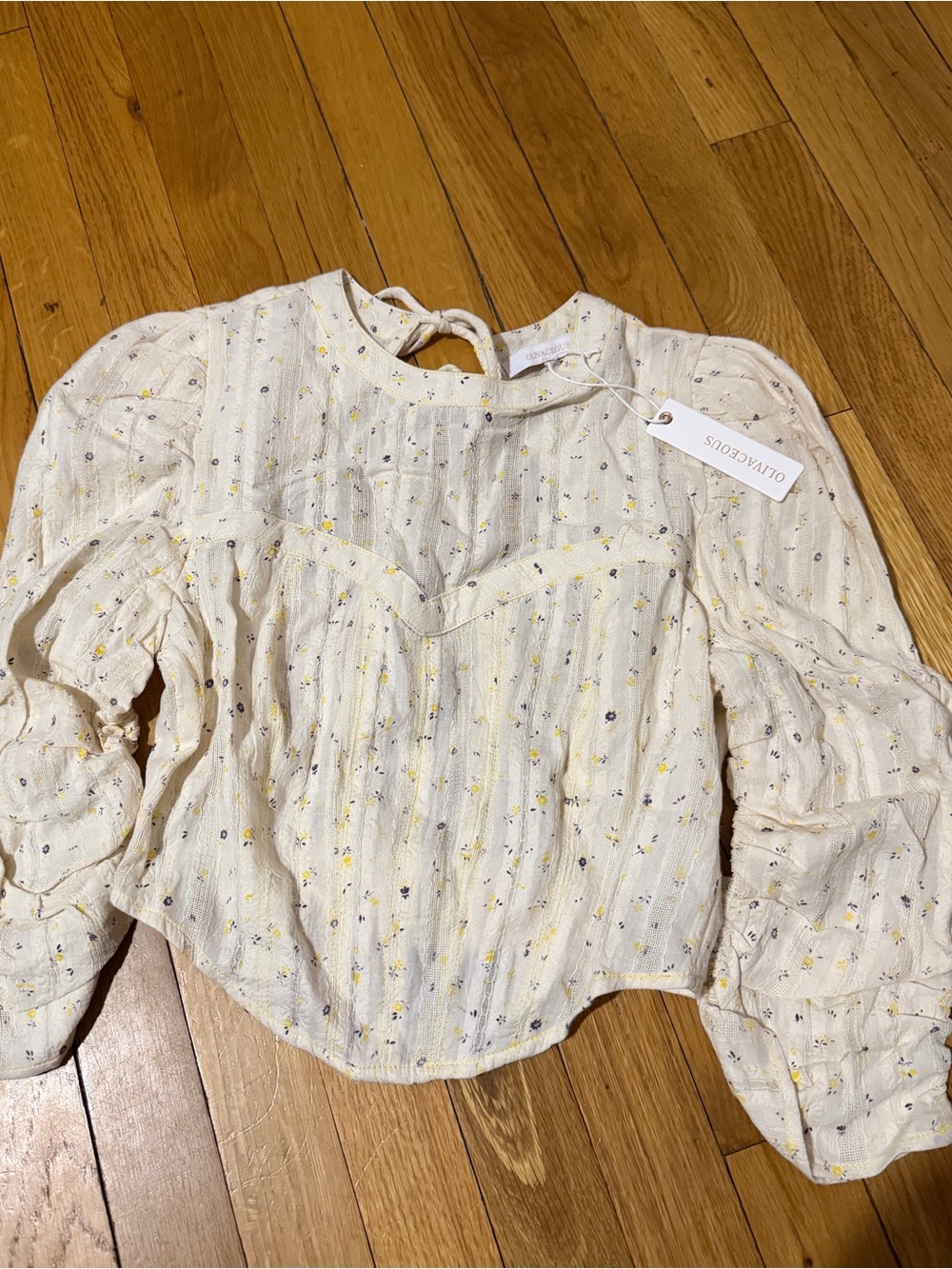 Olivaceous Cream Floral Pintuck Crop Top